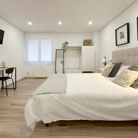 Encantador Junto Al Ayuntamiento Appartement