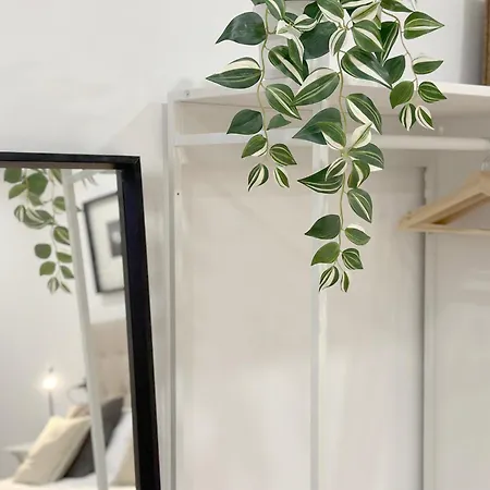 Encantador Junto Al Ayuntamiento Appartement